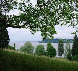 Ausblich von der Allee aus