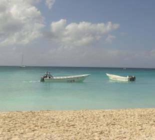 Saona