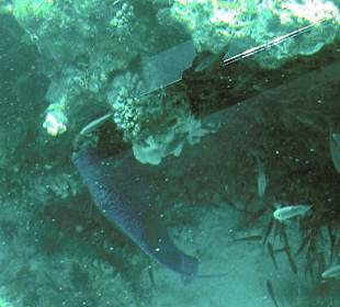 Blick durch den Glasboden