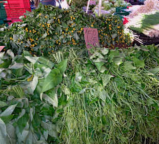 Rundgang über den Wochenmarkt von Saint-Paul