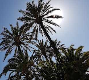 Strand Playa/Platja de Muro