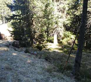 Karkonoski Park Narodowy