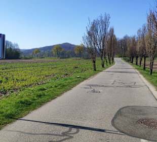 Weg zur Mur