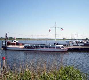 Ein Rundgang durch die "Rosenstadt" im Sommer 