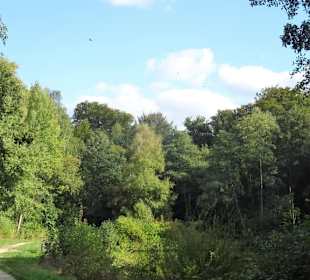 Spaziergang durch den Tiergarten Delmenhorst