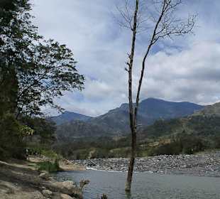 Potok płynący w Dolinie Baliem