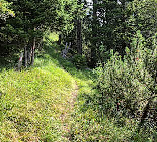 Wandern Leogang