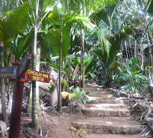 Tagestour - La Digue/Praslin - Vallee de Mai