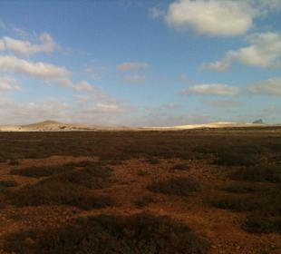 Landschaft