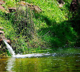 Wandern Lohr am Main