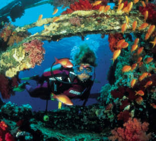 Tauchbasis Extra-Divers Dahab 