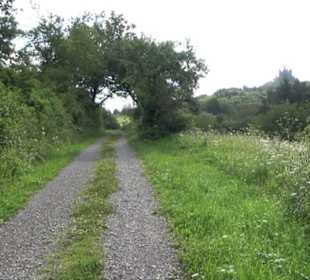 Themenweg Kaiserweg Zimmern