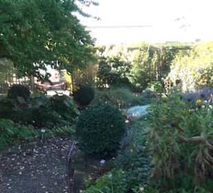 Botanischer Garten