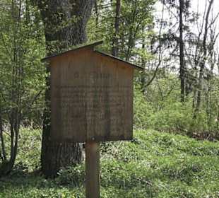 Waldlehrpfad an der Lauter