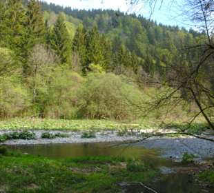 Mal wieder unten am Fluß