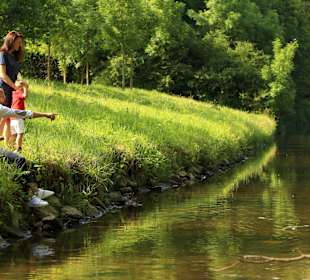 Wandern Swisttal