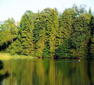 Reintaler See