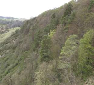 Burgruine Hohenhundersingen