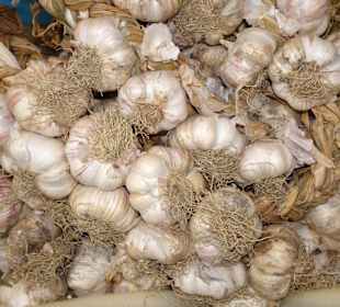 Rundgang über den Meraner Freitagsmarkt