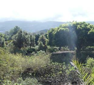 Taoro-Park – unterwegs im oberen Bereich