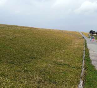 Seehundaufzuchtstation Friedrichskoog