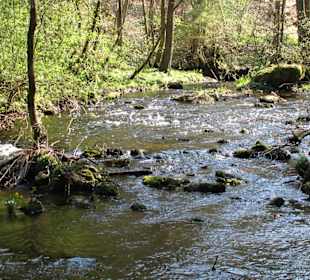Wandern im oberen Püttlachtal