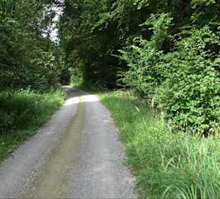 Sonnenaufgangs-Rundwanderung Rübgarten