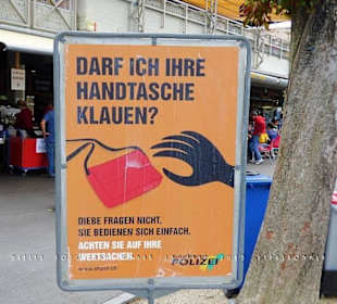 Am Rheinfall von Neuhausen bei Schaffhausen