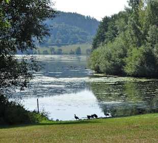 Badezone am Froschgrundsee