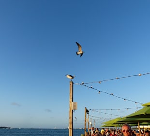 Toller Ausblick vom Sunset Pier