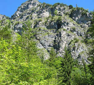 Blick auf der Grünstein