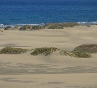 Dünenlandschaft