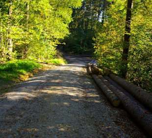 Wanderung zum Signalstein Fränk.Schweiz