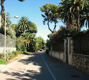 Auch durch die "Hintergärten"