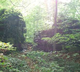 Impressionen Felsengarten