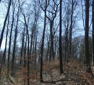 TraumRunde Schwanberg: am Keltenwall