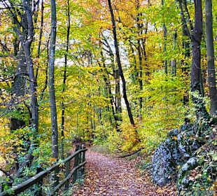 Wanderweg an der Schwechat