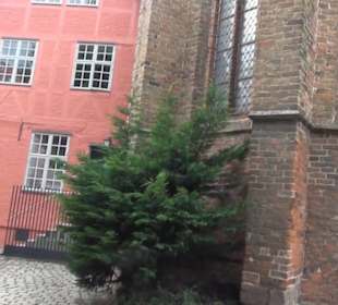 Meeresmuseum Stralsund