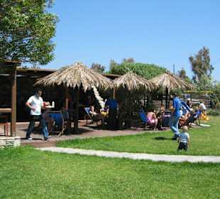 Tam Tam Beach Bar, Garten