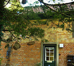 Парк Замка Ойтин. Золотая осень.