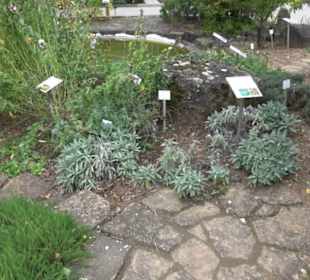 Apothekergarten