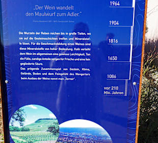 Vor 210 Mio. Jahren wurde dieses Terroir geschaffe