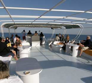 Auf Deck zur Delphintour