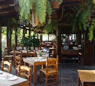 Wintergarten im Restaurant El Molino Blanco