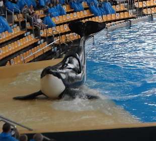 Ausflug zum Loropark