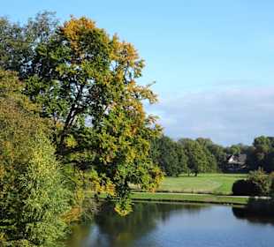 Herbst im Bremer Bürgerpark
