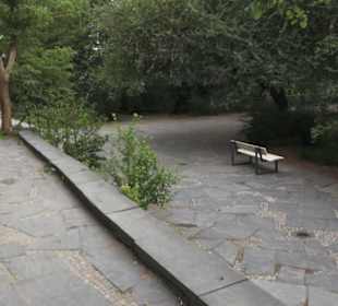 Alter Botanischer Garten