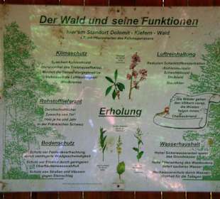 Wanderung zum Bärenfels