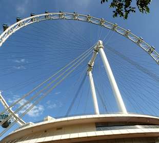 Unterwegs in Singapur mit dem Hop and Hop Bus