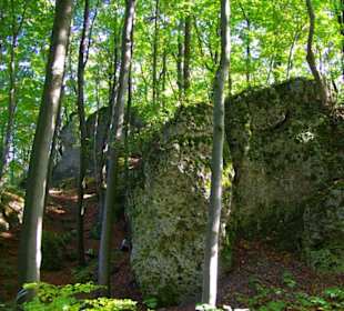 Wanderung zum Signalstein Fränk.Schweiz